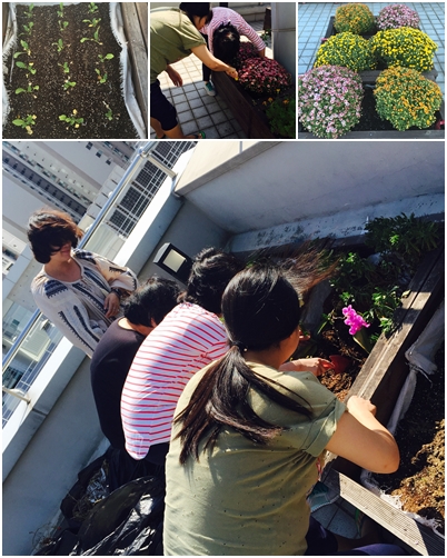 초록맘리더봉사단 \'우리가 green 마을\' 옥상정원 활동